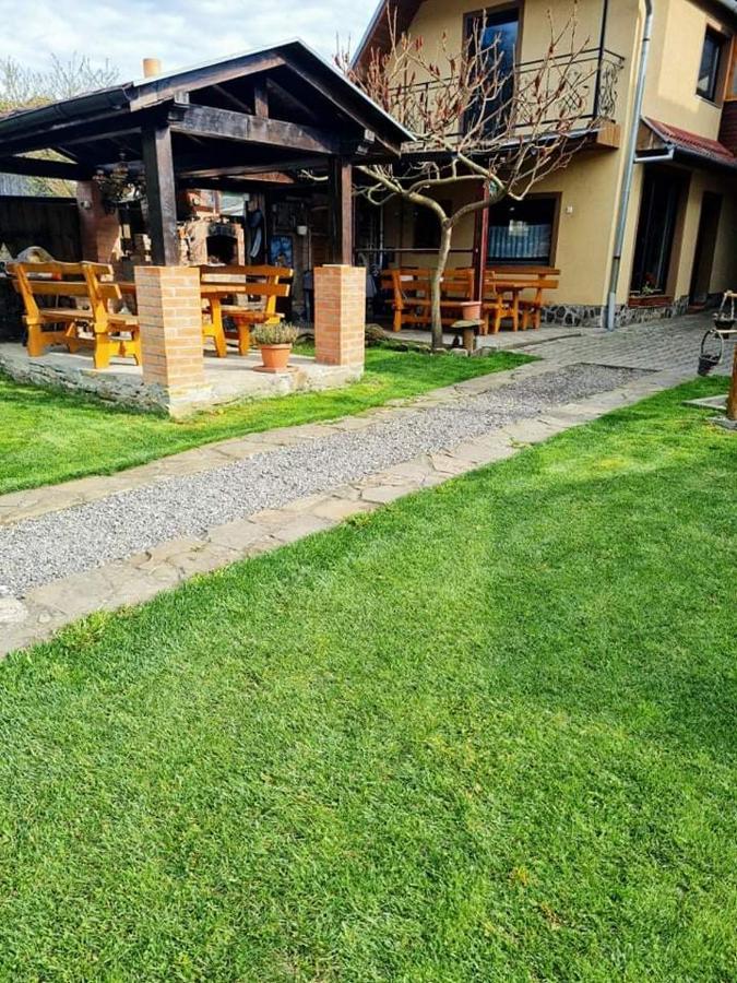 锡吉什瓦拉 奥蒂莉亚旅馆酒店 外观 照片